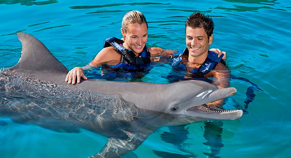 Swimming with dolphins in Cancún