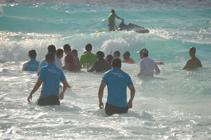 dolphin-rescue-on-cancun dolphin-rescue-on-cancun