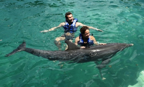 fin-de-ano-en-cancun-nado-con-delfines.jpg