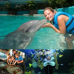 Delphinus Interactive Aquarium rainy day Cancun