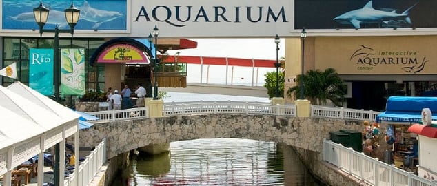 cancun-aquarium-doplhins.jpg