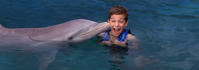 Swim with dolphins: the best experience for kids!