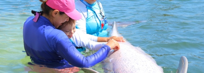 dolphin-therapy.jpg