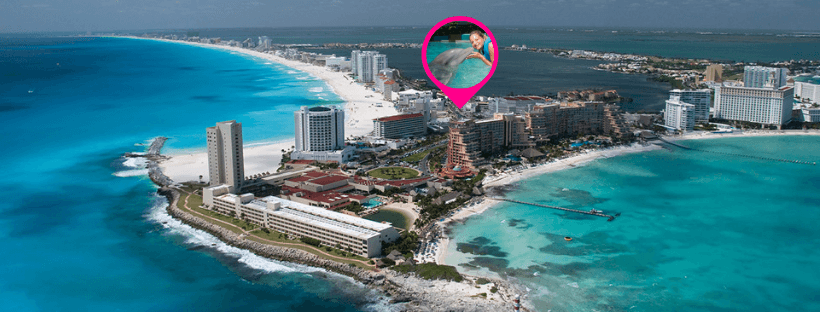 Delphinus swim with dolphins in Cancun hotel zone